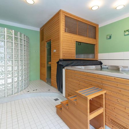 Pension Trautenberk Studenec エクステリア 写真