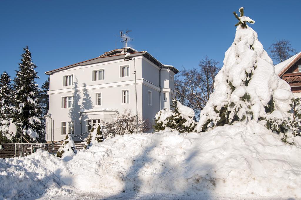 Pension Trautenberk Studenec エクステリア 写真